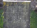image of grave number 786920